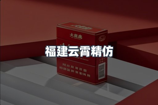 福建云霄精仿
